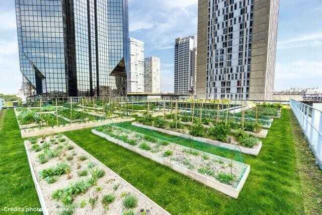 Urban Farming: Ein lehrreiches und schmackhaftes Dach Urban Farming: Ein lehrreiches und schmackhaftes Dach