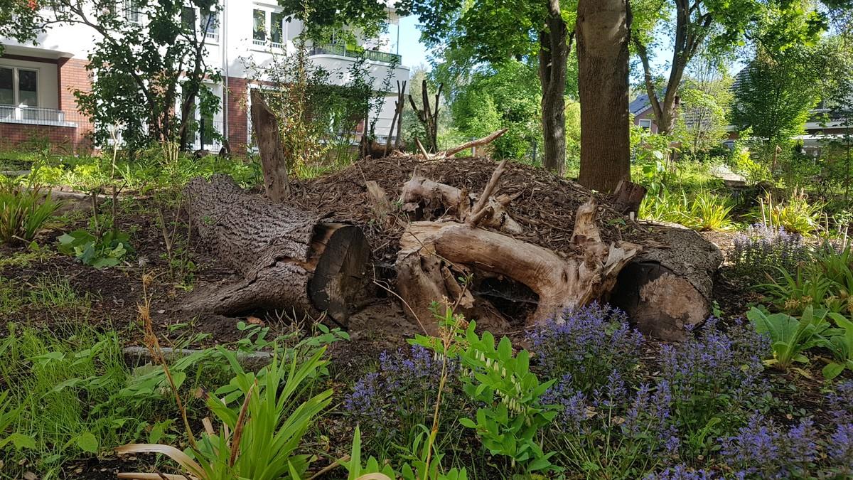 Käferkeller | Foto: B_I MEDIEN