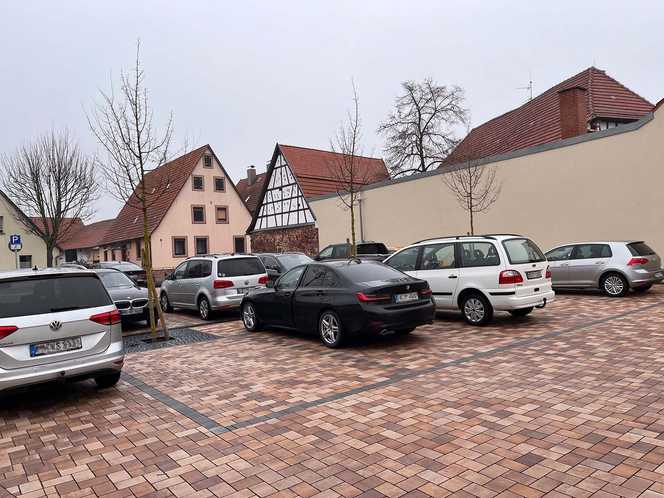 Regenwasser smart zur Baumbewässerung nutzen