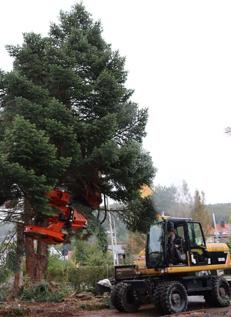 Der Betrieb will Aufgaben rund um die Holzernte und das BaumfĂ€llen ĂŒbernehmen. | Foto: Zeppelin Der Betrieb will Aufgaben rund um die Holzernte und das BaumfĂ€llen ĂŒbernehmen. | Foto: Zeppelin