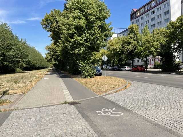 Baumwurzelschutz an Verkehrswegen Baumwurzelschutz an Verkehrswegen