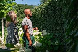 Hecke schneiden und pflanzen: Fristen, Regeln und Tipps für braune Thujen