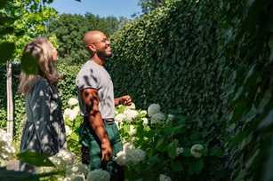 Hecke schneiden und pflanzen: Fristen, Regeln und Tipps für braune Thujen