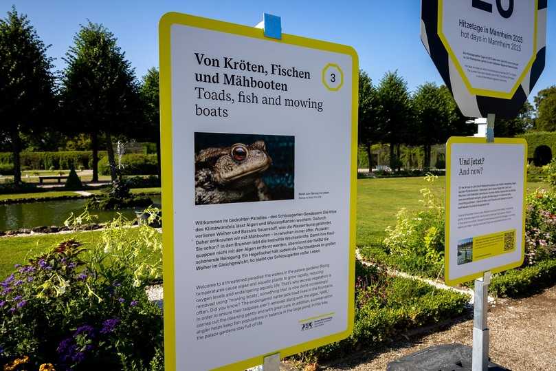 Die Ausstellung „Klimawandel in historischen Gärten“ ist bis zum 1. November 2026 im Schlossgarten Schwetzingen zu sehen. | Foto: Staatliche Schlösser und Gärten Baden-Württemberg