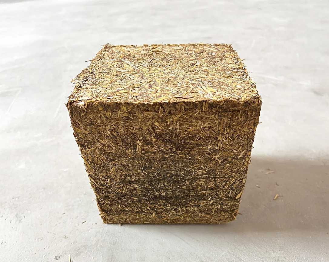 Kuriose Öko-Baustoffe: Mauerwerk aus Mikrowellenstroh und Schneckenschleim