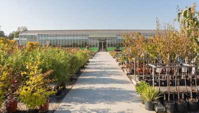 Grünes Licht für höhere Löhne in Baumschulen