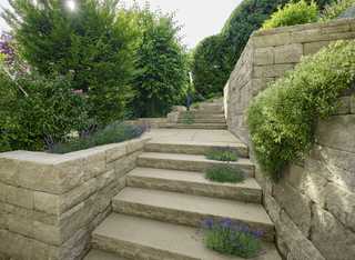 Treppenstufen mit Pflanzen als grüne Hingucker