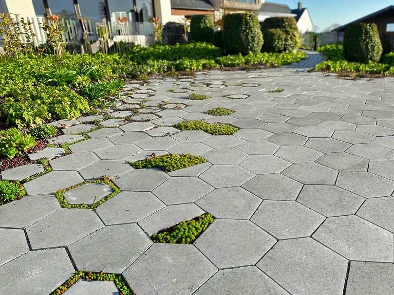Flexibilität in Sechseck-Optik: Mit dem System „Polyline“ lassen sich befestigte Flächen durch gezielt gesetzte Pflanzräume und Halbsteine strukturell auflockern. | Foto: Braun-Steine