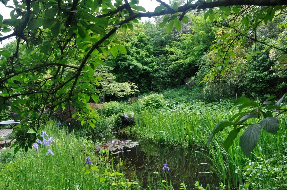Ein grünes Kleinod in Unterfranken. | Foto: Kolb