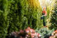 Mitarbeiter bekommen mehr Geld