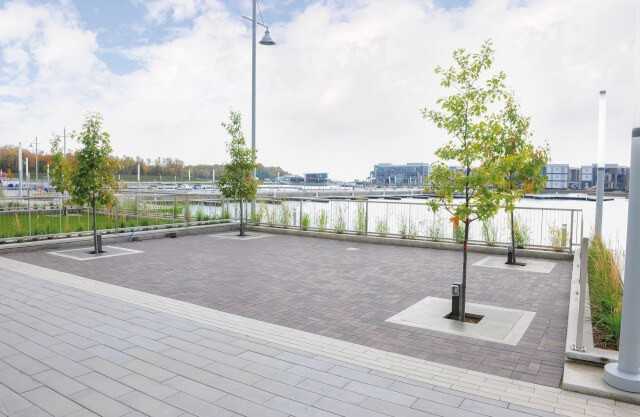 Um ein einheitliches Erscheinungsbild sämtlicher Entwässerungs- und Sickerflächen zu gewährleisten, wurden auch die Baumschutzgitter dem Design der Hydra Linearis-Roste angepasst. Diese bilden einen Kontrast sowohl zur angrenzenden Pflasterung als auch zu den mit Kunstrasen abgedeckten Terrassenbereichen.