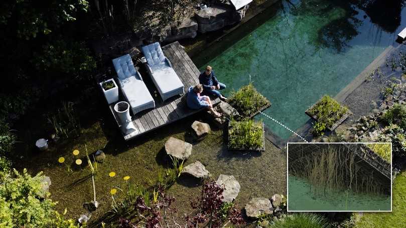 Flora Float in einem privaten Schwimm- und Rückhalteteich in Twistringen. | Foto: Roess Nature Group