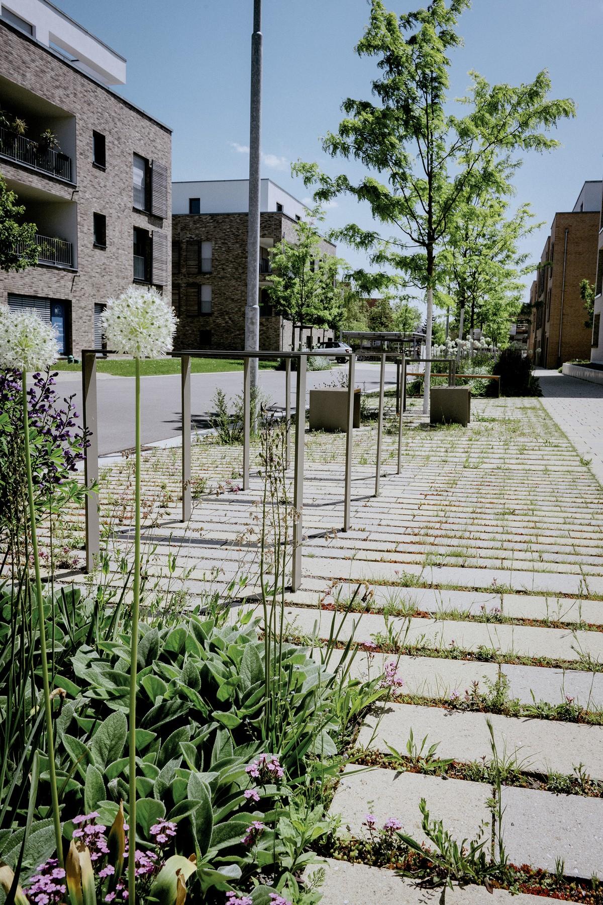 Wird in zwei Varianten produziert: Vegetationsfugenstein „Vario". | Foto: Braun-Steine Wird in zwei Varianten produziert: Vegetationsfugenstein „Vario". | Foto: Braun-Steine