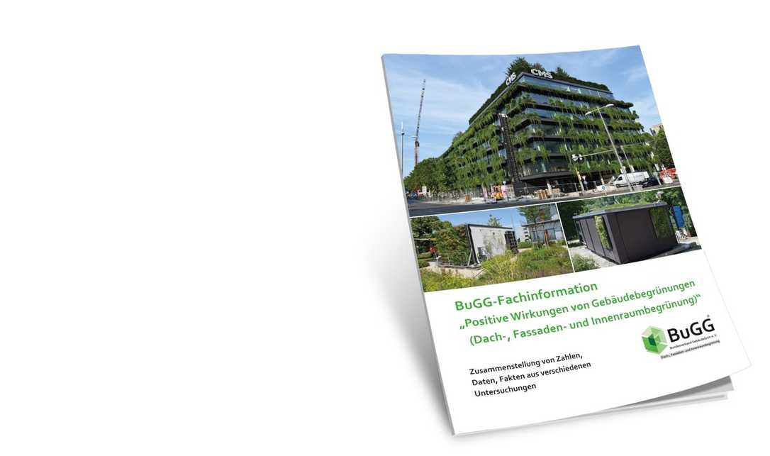Neue Broschüre zur Fassadenbegrünung vom Bugg Neue Broschüre zur Fassadenbegrünung vom Bugg