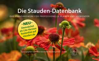 Staudendatenbank als Online-Version