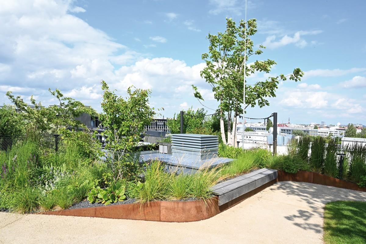 Die Hochbeete „Semira“ in verschiedenen Höhen und Formen sind inselartig in die 480 Meter Wegeflächen integriert. Die Randstreifen sind durch drei Millimeter starke Stahlbandeinfassungen „Ora Max“ abgetrennt. Insgesamt beherbergen die Beete mehr als 35 Pflanzenarten mit bis zu zwölf Meter hohen Bäumen. | Foto: Richard Brink