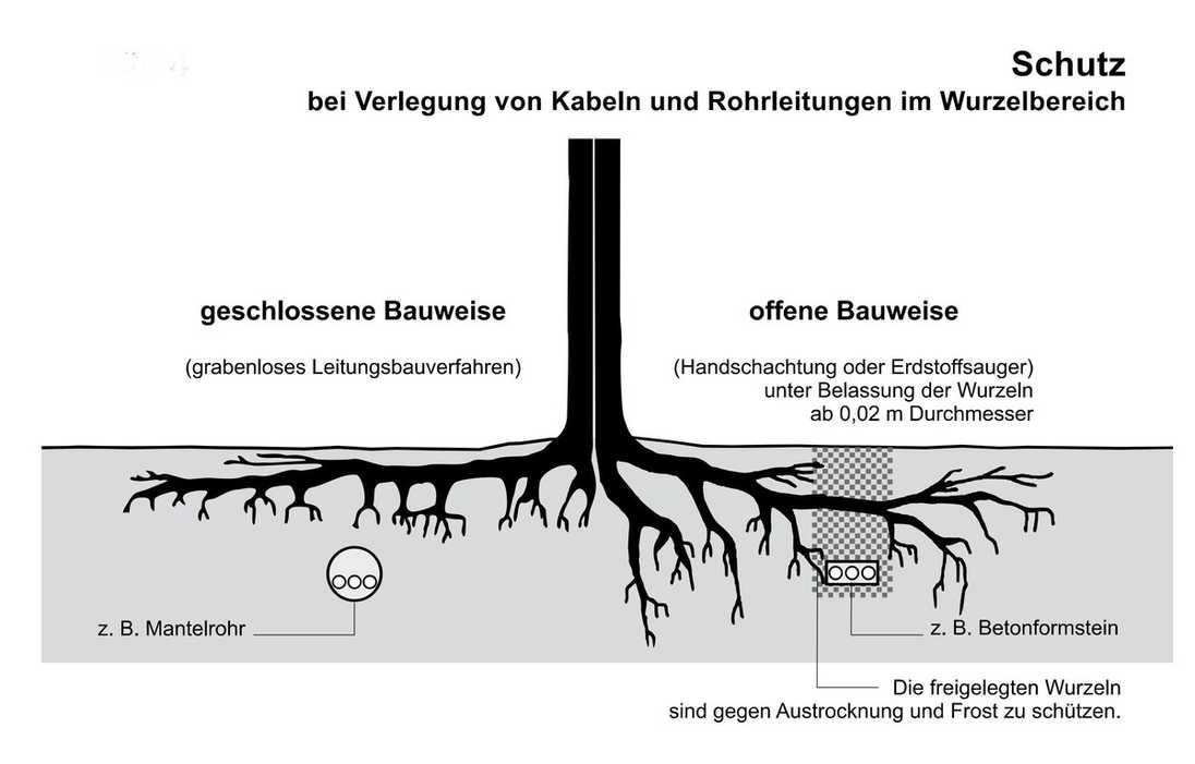 Aktuelle Normen und Regelwerke für den Baumschutz auf Baustellen