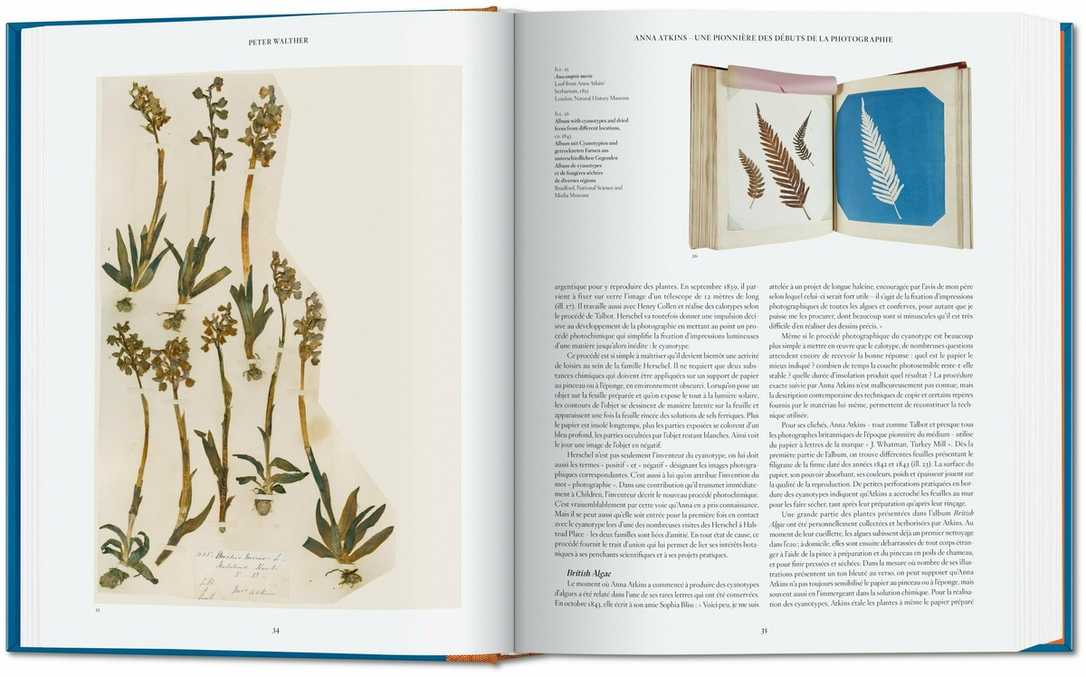 Anna Atkins Cyanotypie Bilder erstmals in einem bibliophilen Werk veröffentlicht Anna Atkins Cyanotypie Bilder erstmals in einem bibliophilen Werk veröffentlicht