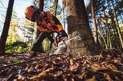 Beispielrechnung für Profis: Stihl vergleicht Akku- und Benzingeräte