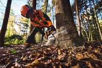 Beispielrechnung für Profis: Stihl vergleicht Akku- und Benzingeräte