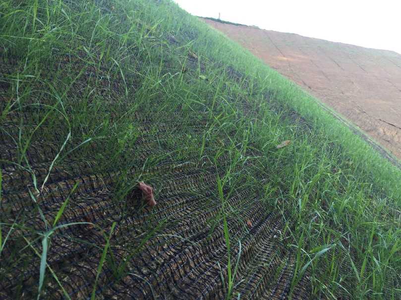 Erosionsschutzmatten, wie die iGG Vmax Matte, können das Pflanzenwachstum gezielt unterstützen. | Foto: IGG Erosionsschutzmatten, wie die iGG Vmax Matte, können das Pflanzenwachstum gezielt unterstützen. | Foto: IGG