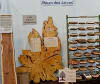 Rück- und Ausblick im Jubiläumsjahr