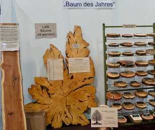 Rück- und Ausblick im Jubiläumsjahr