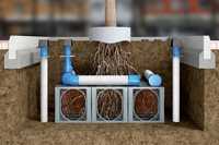 Wie die Multitalente richtig Wurzeln schlagen können