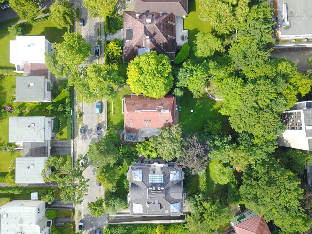 Berlin verdoppelt Stadtbäume bis 2040 Berlin verdoppelt Stadtbäume bis 2040