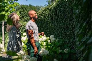 Hecke schneiden und pflanzen: Fristen, Regeln und Tipps für braune Thujen