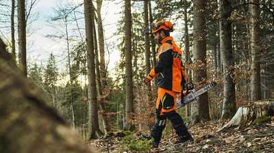 Ende der eigenen Kettensäge: Kommunen in Rheinland-Pfalz müssen Werkzeug stellen
