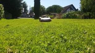 Mähroboter 2025 für Profis und Heimwerker: Modelle, Technologien und Trends