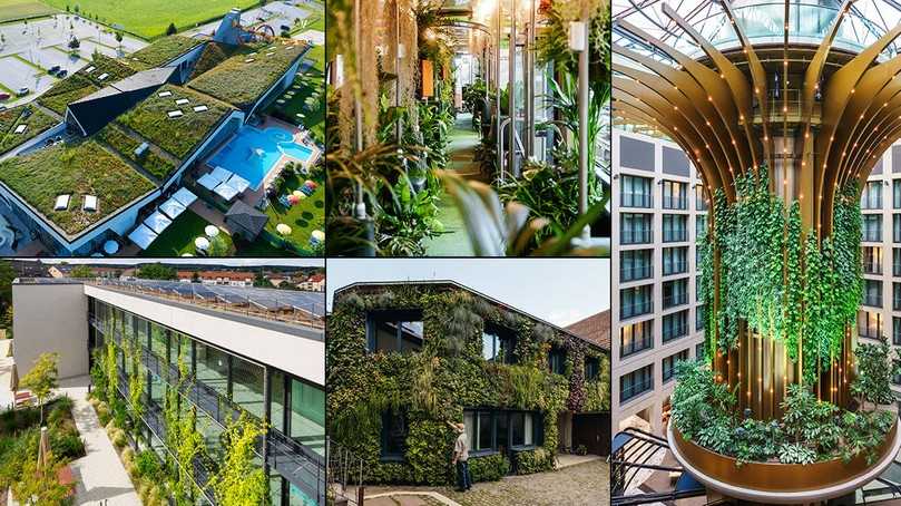 Die Gewinner des BuGG-Wettbewerbs „Gebäudegrün des Jahres 2025“. | Foto: Unternehmen/Bundesverband Gebäudegrün e.V.