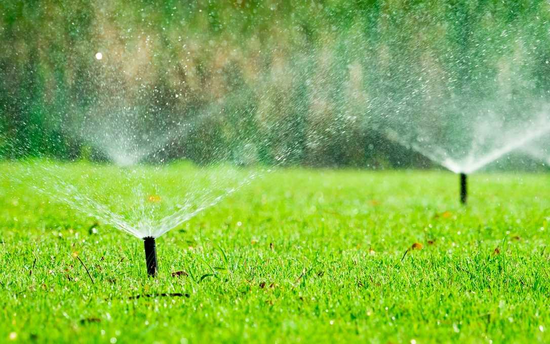 Wasser im Garten: Bewusst wässern und Ressourcen schonen Wasser im Garten: Bewusst wässern und Ressourcen schonen