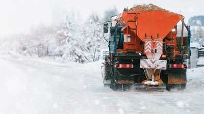 Streusalz: Warum es der "Baumkiller Nr. 1" ist und wie wir Stadtbäume retten