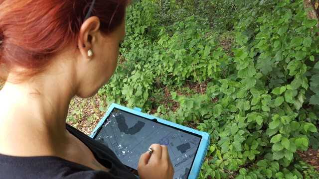 Selena Zeller in Aktion: Für zum Beispiel Bauantragsverfahren erstellt das Team auch Baumbestandspläne. Selena Zeller in Aktion: Für zum Beispiel Bauantragsverfahren erstellt das Team auch Baumbestandspläne.