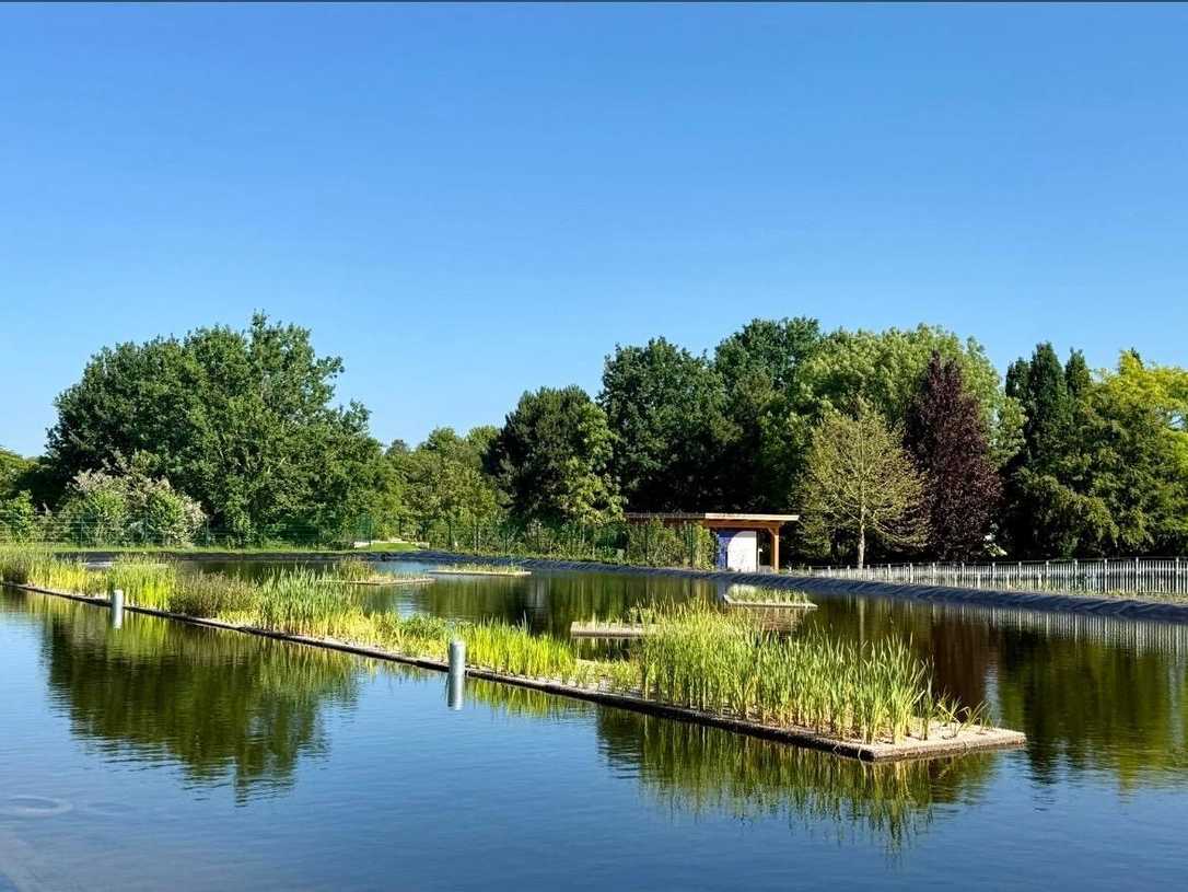 Schwimmende Vegetationssysteme: Gewässerbau & Regenrückhaltebecken begrünen
