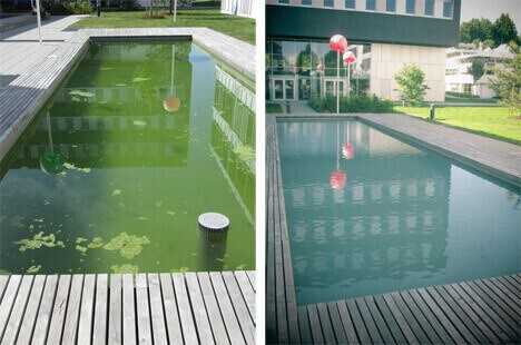Abschreckend (links): Eines der Wasserbecken an der Fachhochschule Kempten vor der Kupfer-Silber-Ionisierung des Wassers. Anziehend (rechts): Seit dem Frühjahr 2014 sind die Becken an der Fachhochschule Kempten dank der Kupfer-Silber-Ionisierung des Wassers algenfrei. Abschreckend (links): Eines der Wasserbecken an der Fachhochschule Kempten vor der Kupfer-Silber-Ionisierung des Wassers. Anziehend (rechts): Seit dem Frühjahr 2014 sind die Becken an der Fachhochschule Kempten dank der Kupfer-Silber-Ionisierung des Wassers algenfrei.