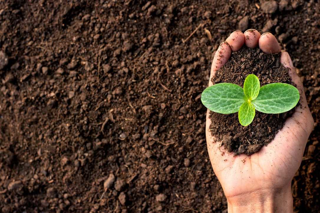 Torf wird teurer: IVG mahnt Wirtschaft im Auge behalten