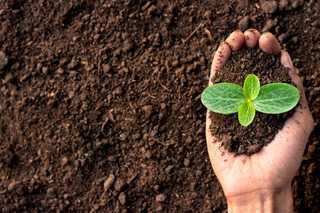 Versorgungslücken und Preisanstiege drohen