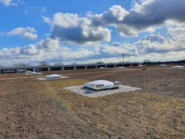 Auf diesem Streifen verwendeten die Wissenschaftler das Rechgut des Nordwestdeutschen Sandtrockenrasens. | Foto: ZinCo GmbH