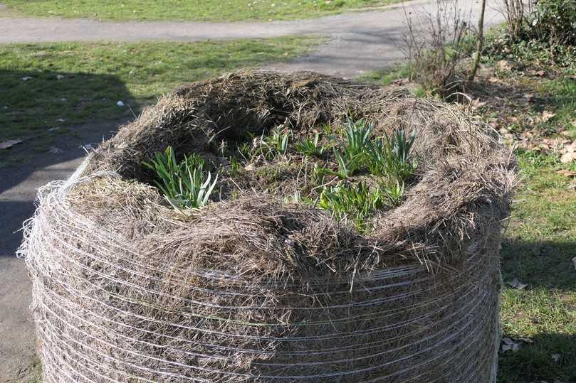 Abgesackter Ballen in einem städtischen Park mit recycelten Blumenzwiebeln aus Friedhofsabfällen. | Foto: Lennart Dittmer/LWG Abgesackter Ballen in einem städtischen Park mit recycelten Blumenzwiebeln aus Friedhofsabfällen. | Foto: Lennart Dittmer/LWG