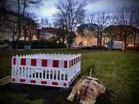 Pflanzaktion: Hopfenbuche für Erfurt