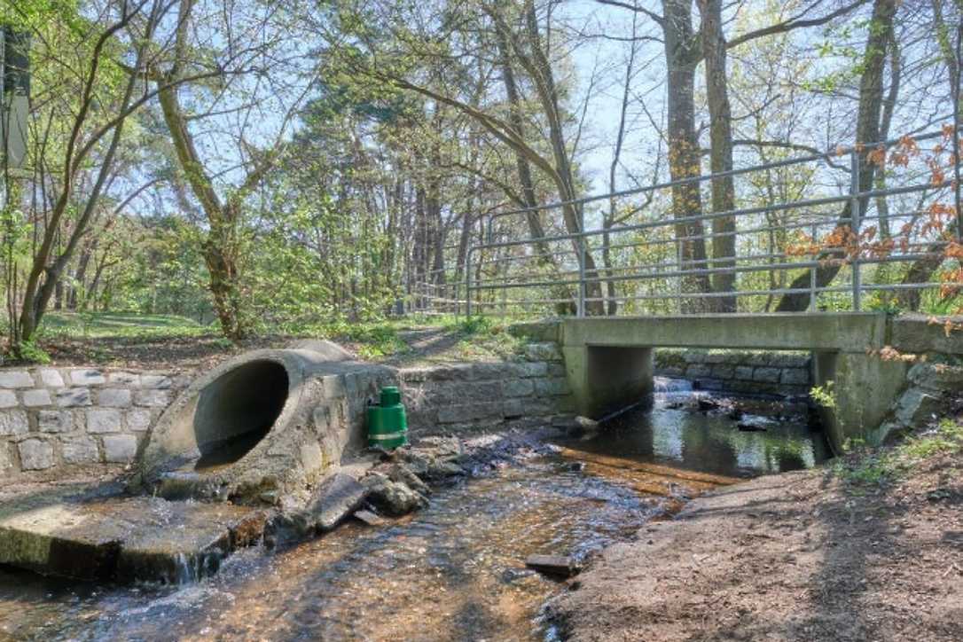 Digitale Rattenbekämpfung im Kanal: Sensorik für mehr Effizienz