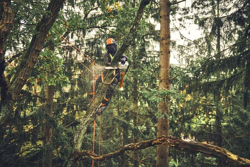 Stammstücke und große Äste mit mittleren Durchmessern abtragen: Für die MSA 240 TC-O aufgrund hoher Durchzugskraft und einer Kettengeschwindigkeit von 24 m/s kein Problem. | Foto: Stihl