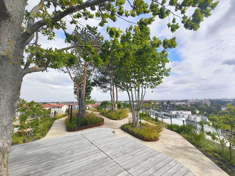 30 Bäume, teils bis zu zwölf Meter hoch, wurden im Dachgarten verpflanzt. | Foto: B_I/Valdix