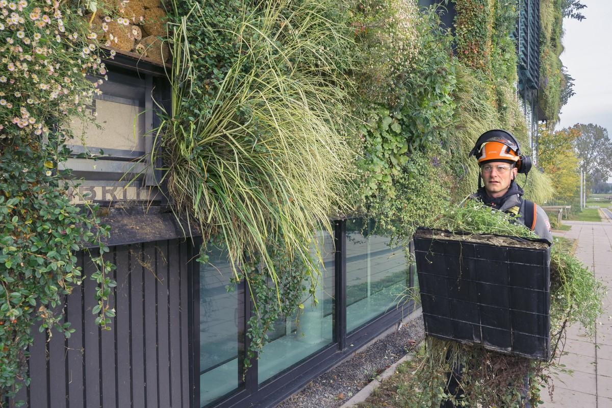 Dank austauschbarer Kassetten geht der Austausch eines Pflanzmoduls leicht von der Hand. | Foto: Stihl