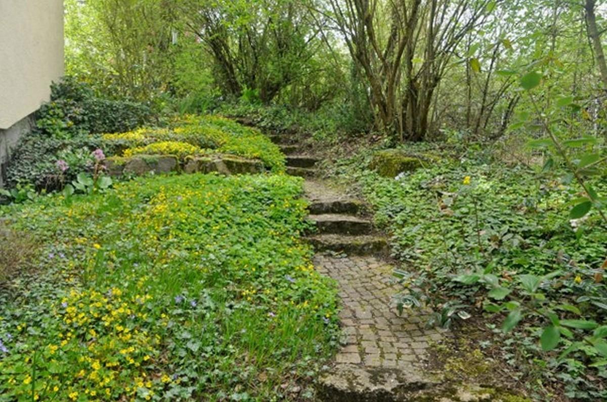 Zugang mit Natursteinen und Bodendeckern. | Foto: Kolb