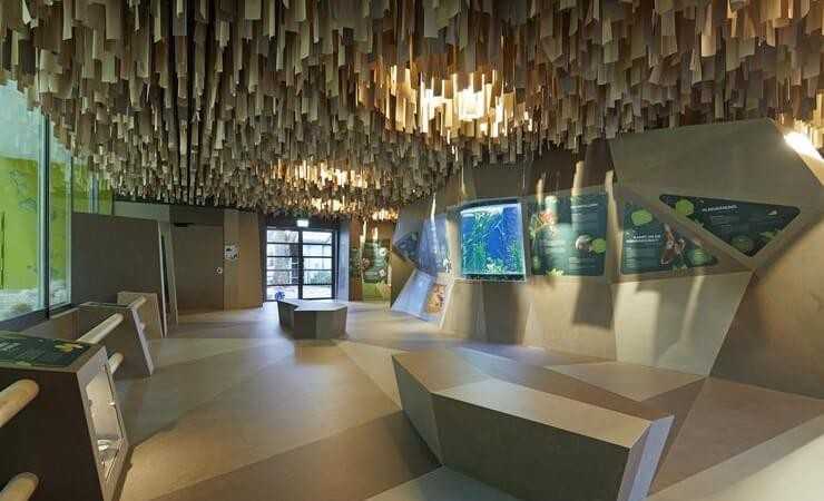 Ruhe im Affenhaus: Bewegte Schallschutz-Decke aus Furnier Ruhe im Affenhaus: Bewegte Schallschutz-Decke aus Furnier