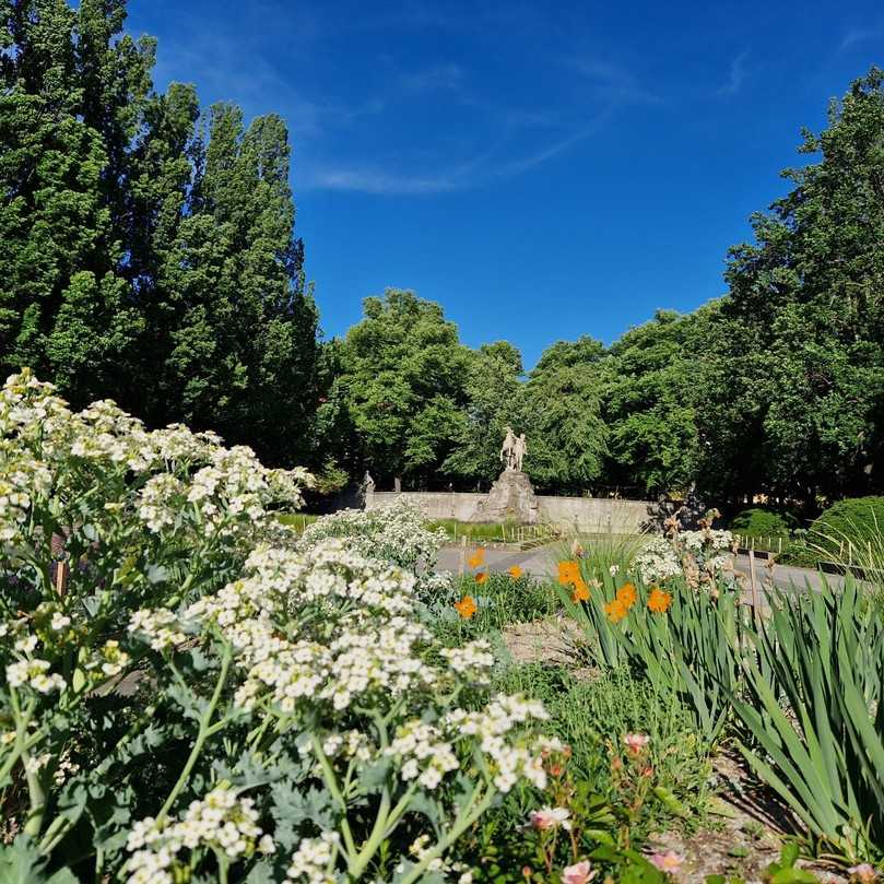 Heimische Wildstauden am Rüdesheimer Platz | Foto: Bezirksamt Charlottenburg-Wilmersdorf Heimische Wildstauden am Rüdesheimer Platz | Foto: Bezirksamt Charlottenburg-Wilmersdorf